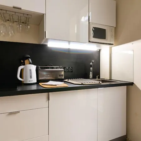 Palais Azura Furnished Flat 아파트 니스